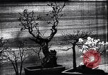 Image zoo et le marché aux fleurs Japon, 1900, de la seconde 19 séquences d'archives historiques vidéo 65675036769