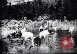 Image zoo et le marché aux fleurs Japon, 1900, de la seconde 26 séquences d'archives historiques vidéo 65675036769