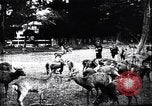 Image zoo et le marché aux fleurs Japon, 1900, de la seconde 44 séquences d'archives historiques vidéo 65675036769