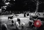 Image zoo et le marché aux fleurs Japon, 1900, de la seconde 53 séquences d'archives historiques vidéo 65675036769