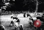 Image zoo et le marché aux fleurs Japon, 1900, de la seconde 54 séquences d'archives historiques vidéo 65675036769