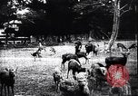 Image zoo et le marché aux fleurs Japon, 1900, de la seconde 58 séquences d'archives historiques vidéo 65675036769