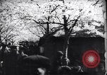 Image une procession publique Japon, 1900, de la seconde 42 séquences d'archives historiques vidéo 65675036778