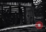 Image archers pratiquant Japon, 1900, de la seconde 1 séquences d'archives historiques vidéo 65675036781