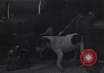 Immagine di Quartieri etnici di Chicago a metà degli anni sessanta Chicago Illinois USA, 1965, secondo 17 filmato di repertorio 65675036784