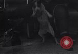 Immagine di Quartieri etnici di Chicago a metà degli anni sessanta Chicago Illinois USA, 1965, secondo 18 filmato di repertorio 65675036784