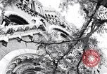 Image of Old Town Chicago Chicago Illinois USA, 1965, second 1 stock footage video 65675036796