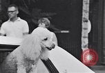 Image of Old Town Chicago Chicago Illinois USA, 1965, second 49 stock footage video 65675036796