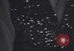 Image of Old Town Chicago at night Chicago Illinois USA, 1965, second 24 stock footage video 65675036797
