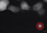 Image of Old Town Chicago at night Chicago Illinois USA, 1965, second 34 stock footage video 65675036797