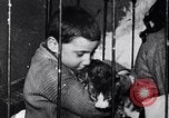 Image of Immigrants living in New York  tenements New York City USA, 1905, second 43 stock footage video 65675036800