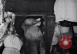 Image of immigrants working in America United States USA, 1910, second 39 stock footage video 65675036801