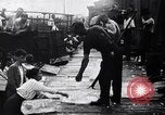Immagine di Anni Ruggenti in America United States USA, 1929, secondo 49 filmato di repertorio 65675036810