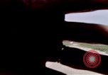 Immagine di Wright Brothers National Memorial Kitty Hawk North Carolina USA, 1972, secondo 41 filmato di repertorio 65675036859