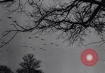 Image of D-Day invasion Normandy France, 1944, second 50 stock footage video 65675036869