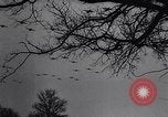 Image of D-Day invasion Normandy France, 1944, second 51 stock footage video 65675036869