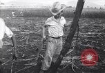 Image of Fidel Castro Cuba, 1963, second 3 stock footage video 65675036873