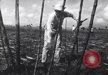 Image of Fidel Castro Cuba, 1963, second 4 stock footage video 65675036873