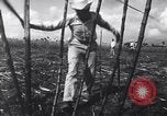 Image of Fidel Castro Cuba, 1963, second 5 stock footage video 65675036873