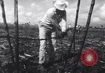 Image of Fidel Castro Cuba, 1963, second 7 stock footage video 65675036873