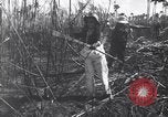 Image of Fidel Castro Cuba, 1963, second 8 stock footage video 65675036873