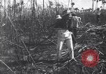 Image of Fidel Castro Cuba, 1963, second 9 stock footage video 65675036873