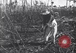 Image of Fidel Castro Cuba, 1963, second 10 stock footage video 65675036873