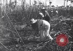 Image of Fidel Castro Cuba, 1963, second 11 stock footage video 65675036873