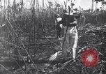 Image of Fidel Castro Cuba, 1963, second 12 stock footage video 65675036873