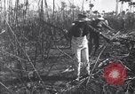 Image of Fidel Castro Cuba, 1963, second 14 stock footage video 65675036873