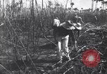 Image of Fidel Castro Cuba, 1963, second 15 stock footage video 65675036873
