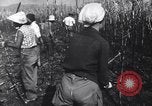 Image of Fidel Castro Cuba, 1963, second 16 stock footage video 65675036873