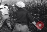 Image of Fidel Castro Cuba, 1963, second 18 stock footage video 65675036873