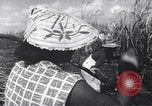 Image of Fidel Castro Cuba, 1963, second 21 stock footage video 65675036873