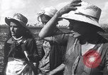 Image of Fidel Castro Cuba, 1963, second 23 stock footage video 65675036873