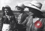 Image of Fidel Castro Cuba, 1963, second 24 stock footage video 65675036873
