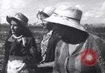 Image of Fidel Castro Cuba, 1963, second 25 stock footage video 65675036873