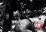 Image 'invasion de Playa Girón Baie des Cochons à Cuba, 1961, de la seconde 36 séquences d'archives historiques vidéo 65675036875