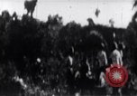 Image 'invasion de Playa Girón Baie des Cochons à Cuba, 1961, de la seconde 39 séquences d'archives historiques vidéo 65675036875