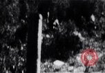 Image 'invasion de Playa Girón Baie des Cochons à Cuba, 1961, de la seconde 44 séquences d'archives historiques vidéo 65675036875