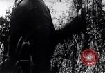 Standbild der Invasion der Schweinebucht Girón Kuba, 1961, aus Sekunde 10 historischem Filmmaterial Videoclip 65675036876