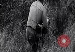Standbild der Invasion der Schweinebucht Girón Kuba, 1961, aus Sekunde 18 historischem Filmmaterial Videoclip 65675036876