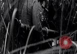 Standbild der Invasion der Schweinebucht Girón Kuba, 1961, aus Sekunde 39 historischem Filmmaterial Videoclip 65675036876
