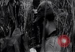 Standbild der Invasion der Schweinebucht Girón Kuba, 1961, aus Sekunde 45 historischem Filmmaterial Videoclip 65675036876