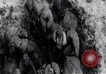 Image 'invasion de Playa Girón Baie des Cochons à Cuba, 1961, de la seconde 1 séquences d'archives historiques vidéo 65675036877