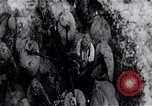 Image 'invasion de Playa Girón Baie des Cochons à Cuba, 1961, de la seconde 3 séquences d'archives historiques vidéo 65675036877