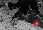 Image 'invasion de Playa Girón Baie des Cochons à Cuba, 1961, de la seconde 24 séquences d'archives historiques vidéo 65675036877
