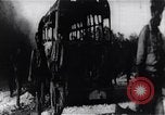Image of Bay of Pigs invasion Bay of Pigs Cuba, 1961, second 10 stock footage video 65675036882