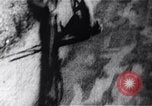 Image of Bay of Pigs invasion Bay of Pigs Cuba, 1961, second 33 stock footage video 65675036882