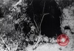 Image of Bay of Pigs invasion Bay of Pigs Cuba, 1961, second 36 stock footage video 65675036882